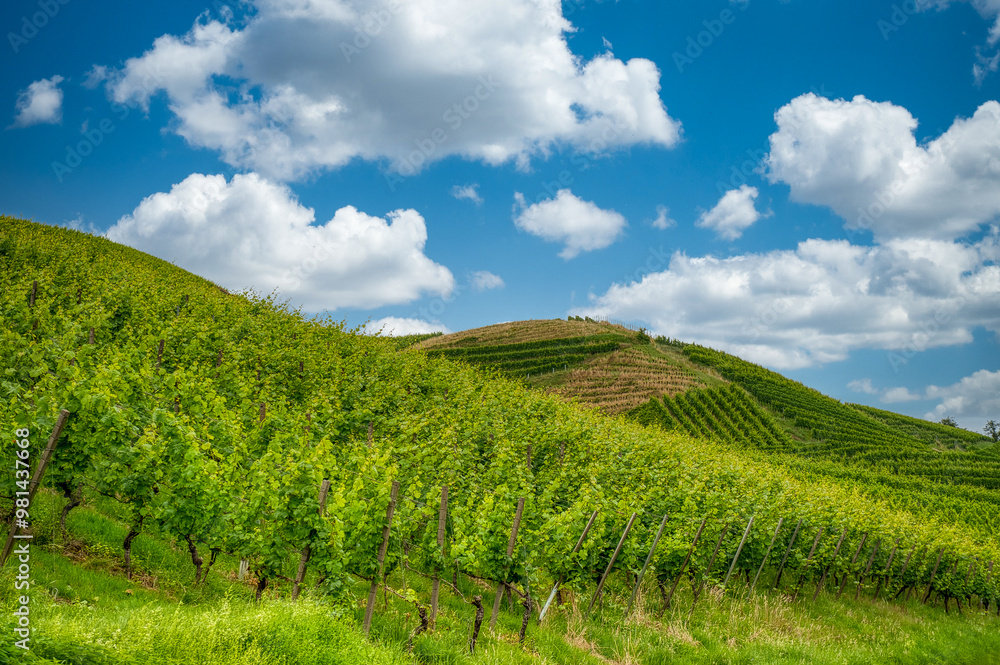 Kappelrodeck is a municipality in Ortenau District, Baden-Württemberg, Germany Kappelrodeck is a municipality in Ortenau District, Baden-Württemberg, Germany