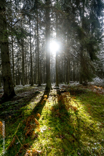 Cool pictures from the ardennes in Belgium