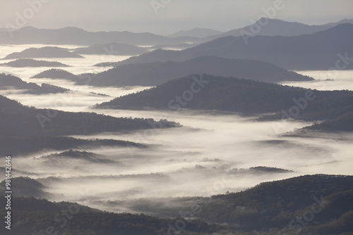 Byron Bay Hinterland im Nebel.  Wollumbin Nationalpark, Mount Jerusalem Nationalpark. Ausblick von Blackbutt Lookout, Border Ranges Nationalpark. photo