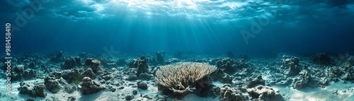 Beautiful underwater panoramic view of a serene coral reef adorned with sunlight rays penetrating the crystal clear blue water.