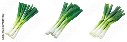 super fresh Japanese leek with a focus on the crisp, green leaves and smooth white stalk, isolated on transparent background  photo