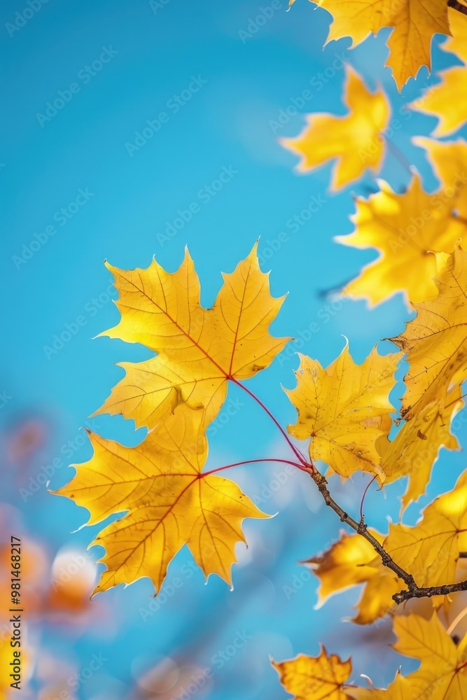 A detailed view of a tree trunk with vibrant yellow leaves, suitable for autumn or nature-themed designs A detailed view of a tree trunk with vibrant yellow leaves, suitable for autumn or nature-themed designs