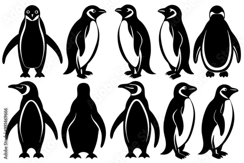 penguin vector,  silhouette  penguin, all different styles of penguin