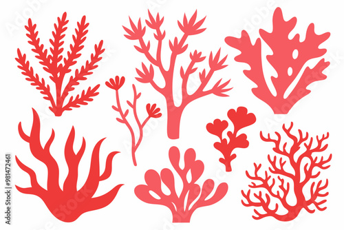 coral vector,  colorful-coral vector,  all different styles of coral, sea creature