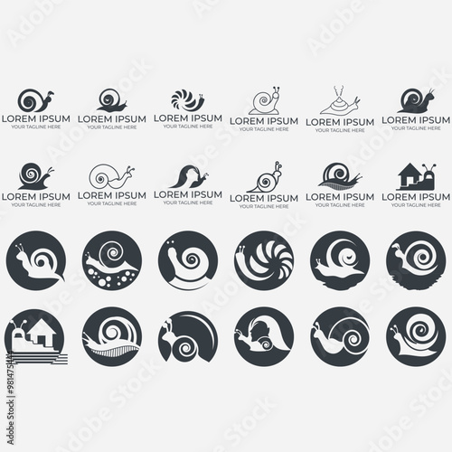 Snail logo illustration vector design