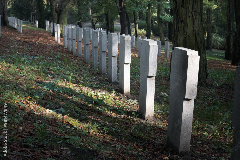 Gravestones of those distinguished in combat at the old military cemetery
Gravestones of those distinguished in combat at the old military cemetery