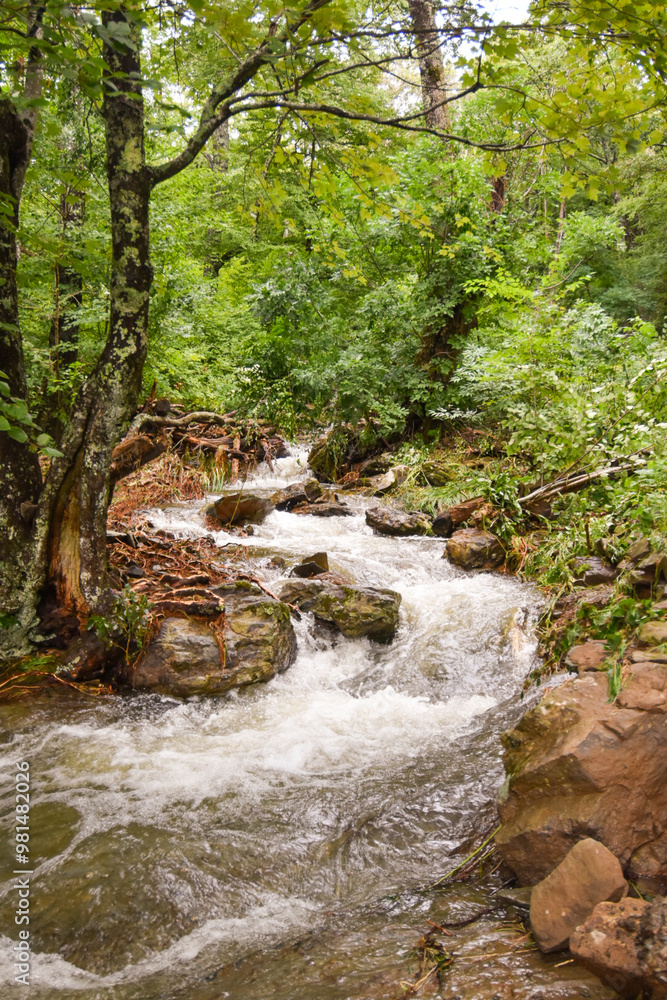 Fototapeta premium Smokey Mountains, Blue Ridge Mountains, Shenandoah Mountains