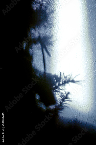 Blurred Blue Christmas Tree Shadow at Night