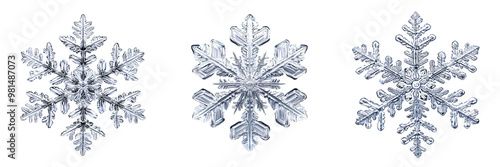 Set of a single snowflake, intricately detailed with its unique pattern isolated on transparent background