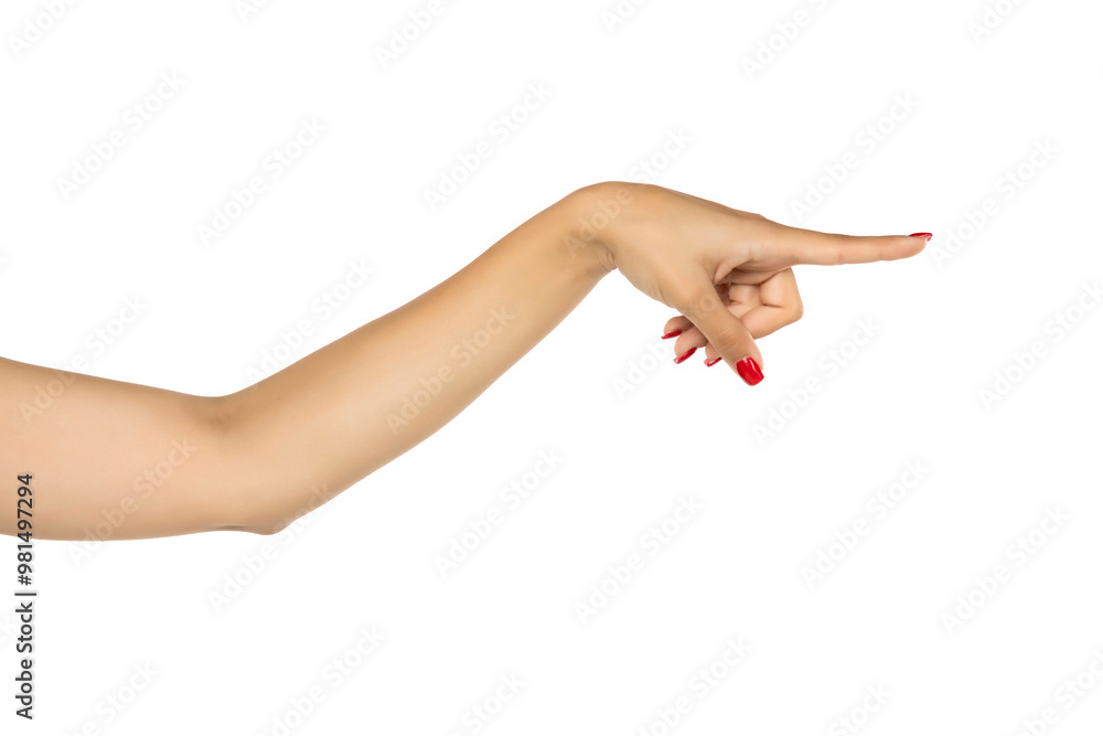 whole female arm pointing on white background. whole female arm pointing on white background.