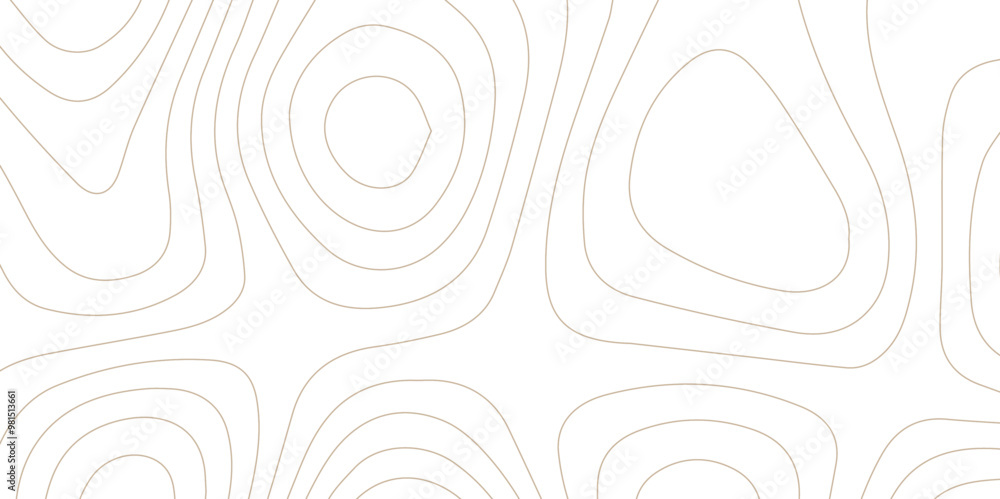 Abstract wave paper curved reliefs background .gradient multicolor wave curve lines banner background design .topographic contours map background .Vector geographic contour map. Abstract wave paper curved reliefs background .gradient multicolor wave curve lines banner background design .topographic contours map background .Vector geographic contour map.