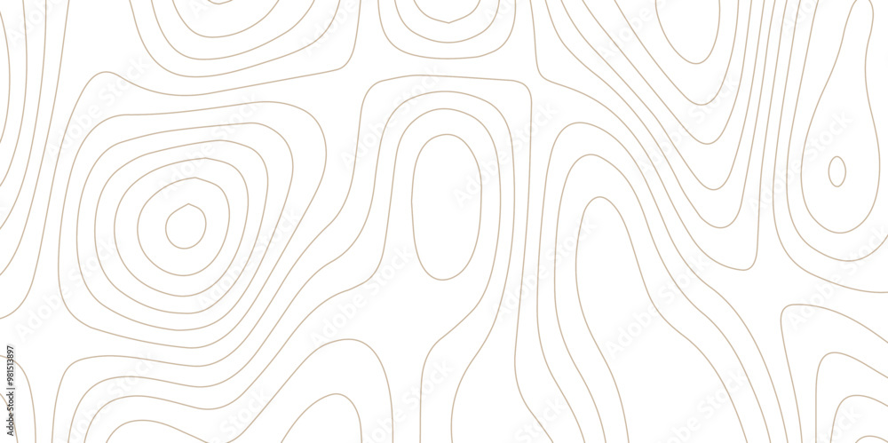 Abstract wave paper curved reliefs background .gradient multicolor wave curve lines banner background design .topographic contours map background .Vector geographic contour map. Abstract wave paper curved reliefs background .gradient multicolor wave curve lines banner background design .topographic contours map background .Vector geographic contour map.