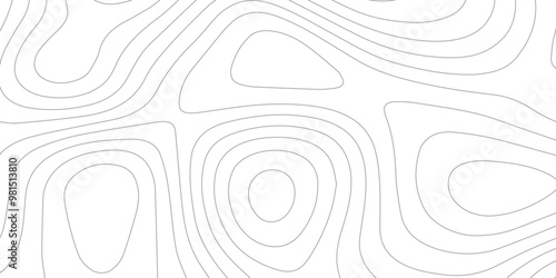 Abstract wave paper curved reliefs background .gradient multicolor wave curve lines banner background design .topographic contours map background .Vector geographic contour map.	