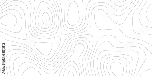 Abstract wave paper curved reliefs background .gradient multicolor wave curve lines banner background design .topographic contours map background .Vector geographic contour map.	