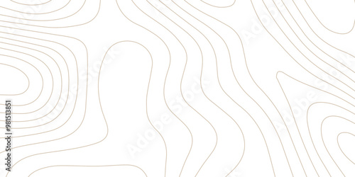 Abstract wave paper curved reliefs background .gradient multicolor wave curve lines banner background design .topographic contours map background .Vector geographic contour map.	