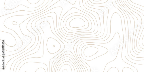 Abstract wave paper curved reliefs background .gradient multicolor wave curve lines banner background design .topographic contours map background .Vector geographic contour map.	