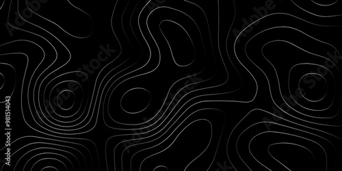 Abstract wave paper curved reliefs background .gradient multicolor wave curve lines banner background design .topographic contours map background .Vector geographic contour map.	