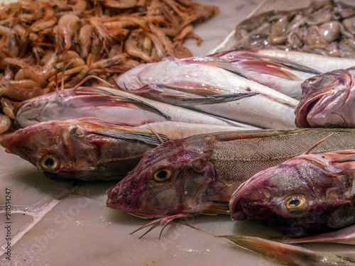 Fresh food market with variety of fresh fish, Murci, Spain photo