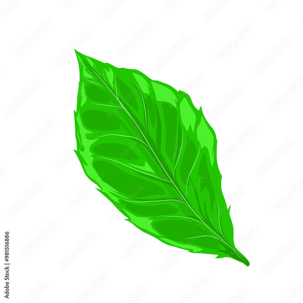 Obraz premium green leaf icon illustration isolated without background