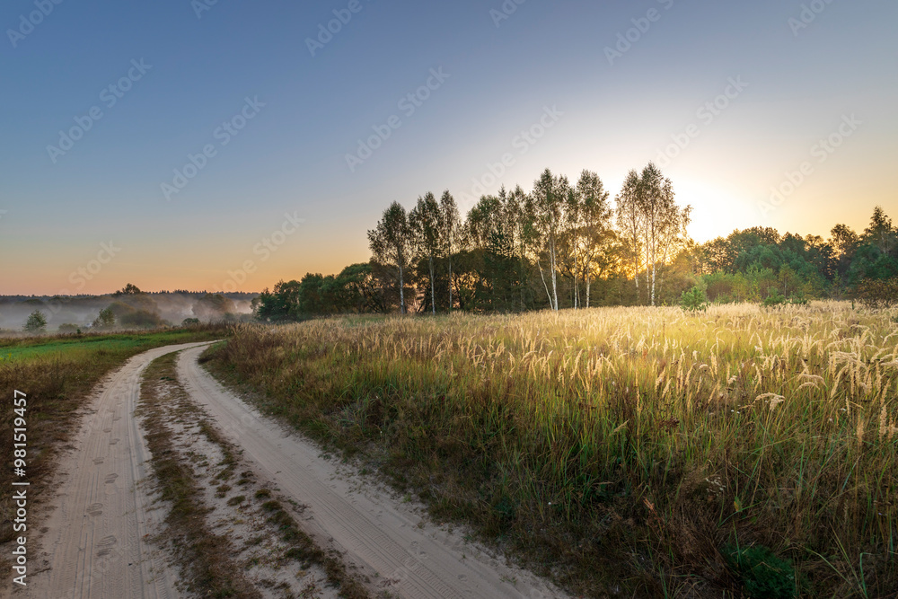 Obraz premium A road in the countryside with trees in the background