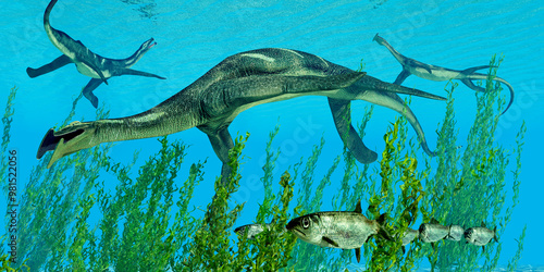 Atopodentatus eats Underwater Kelp - Atopodentatus was a herbivorous semi-aquatic marine reptile that lived in Triassic Seas of China. photo