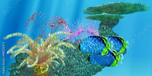 Black-backed Butterflyfish and Reef - Black-backed Butterflyfish find protection among anemone, lattice table coral and sea stars on a coral reef. photo