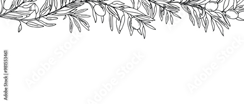 Horizontal Frame, Border with Olive Branches and fruits. Hand drawn Vector Graphic illustration. Botanical Sketch. Perfect as a web banner, card and invitation template, for menu design.