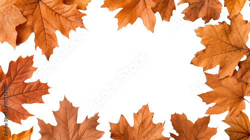 Autumn frame made of dry leaves isolated on white background with place for text. Creative seasonal fall greeting or gift card. Minimal flat lay. Foliage pattern, natural border.