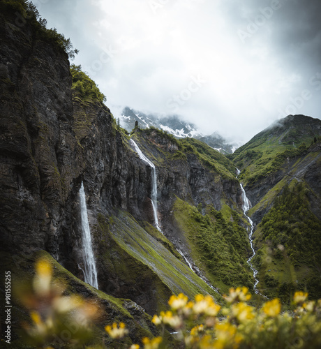 European Nature