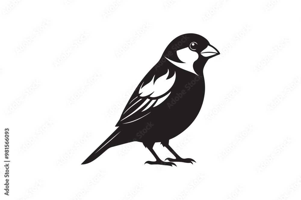 Common Sparrow silhouette vector illustration, Common Sparrow silhouette PNG, Common Sparrow silhouette vector . Common Sparrow silhouette vector illustration, Common Sparrow silhouette PNG, Common Sparrow silhouette vector .
