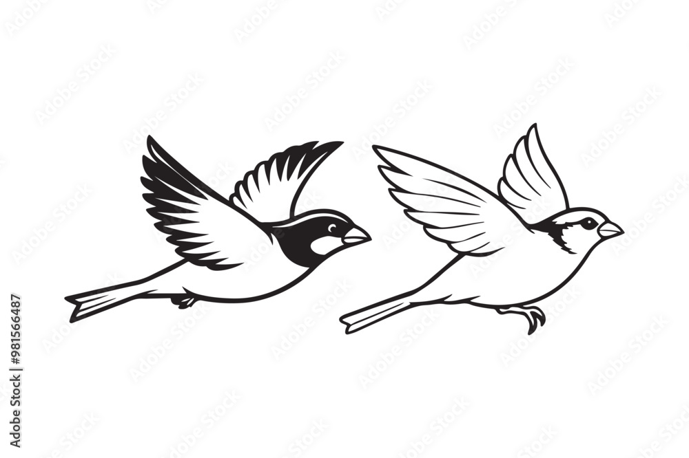 Fototapeta premium Common Sparrow silhouette vector illustration, Common Sparrow silhouette PNG, Common Sparrow silhouette vector .