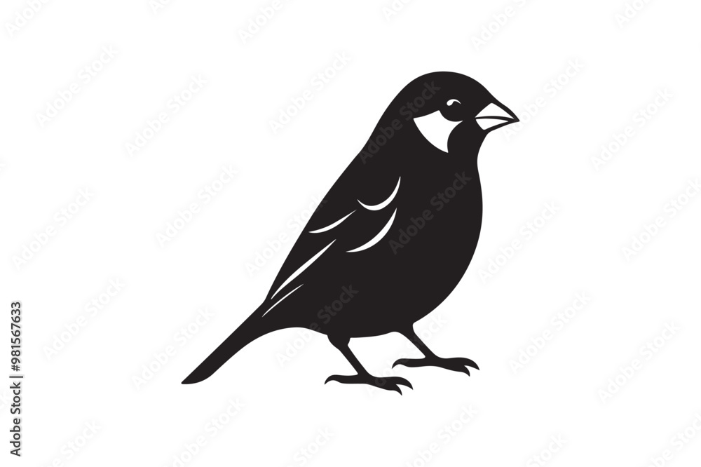 Fototapeta premium Common Sparrow silhouette vector illustration, Common Sparrow silhouette PNG, Common Sparrow silhouette vector .