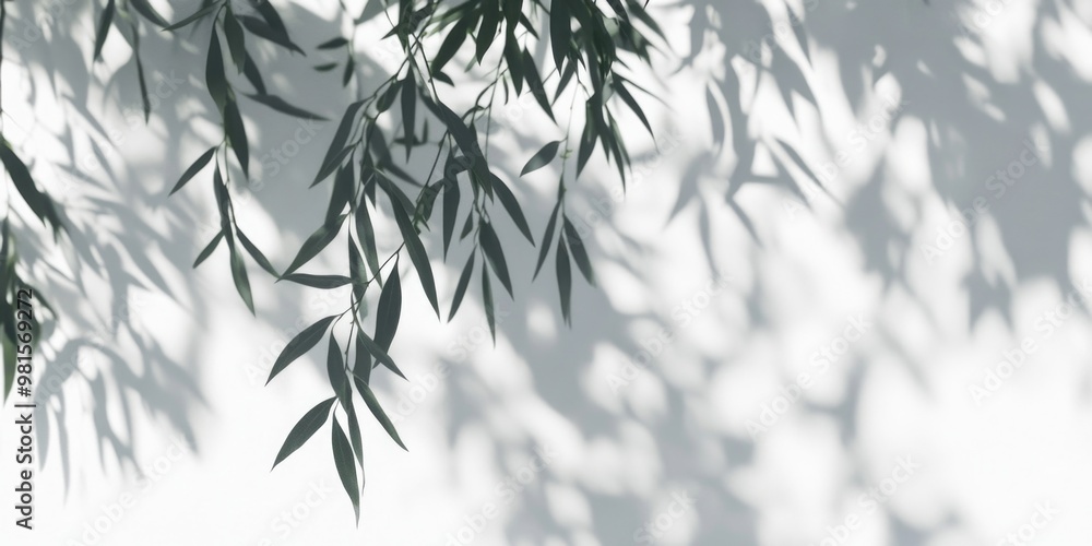 Serene Shade: A Tranquil Bamboo Scene Serene Shade: A Tranquil Bamboo Scene