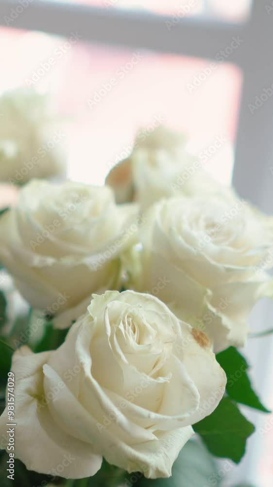 A beautiful bouquet of white roses stands near the window of the house. A romantic gift for a girl on a holiday. Floristry A beautiful bouquet of white roses stands near the window of the house. A romantic gift for a girl on a holiday. Floristry