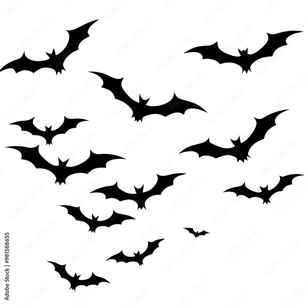Dynamic Outline Vector of Scattered Flying Bats Dynamic Outline Vector of Scattered Flying Bats