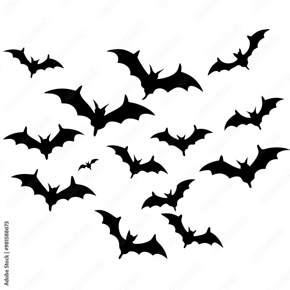 Dynamic Outline Vector of Scattered Flying Bats Dynamic Outline Vector of Scattered Flying Bats