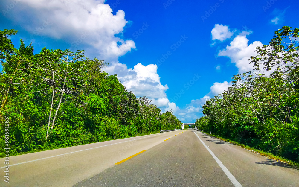 Driving on the highway through the tropical jungle in Mexico. Driving on the highway through the tropical jungle in Mexico.