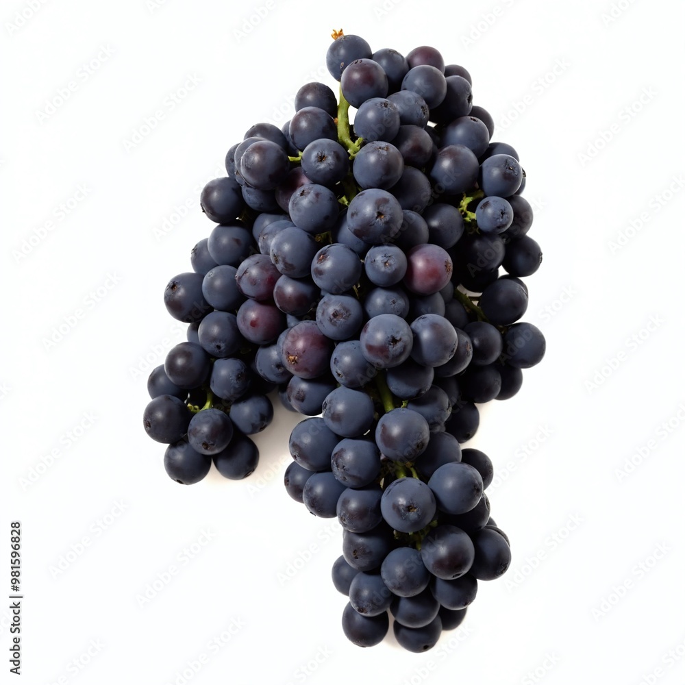 Freshly harvested bunch of dark grapes on a white background showcasing their vibrant color and healthy appearance Freshly harvested bunch of dark grapes on a white background showcasing their vibrant color and healthy appearance
