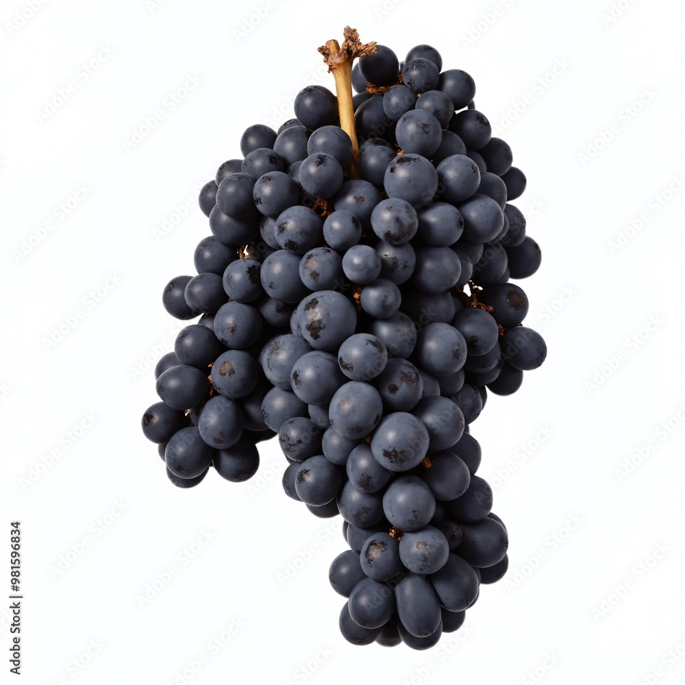 Fresh dark grapes bunch hanging against a light background, showcasing their plump shape and vibrant color for a healthy snack Fresh dark grapes bunch hanging against a light background, showcasing their plump shape and vibrant color for a healthy snack