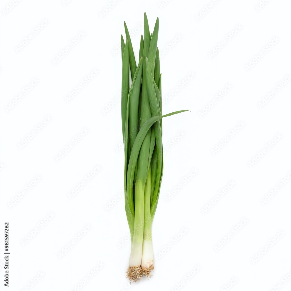 Fresh green onions arranged vertically on a white background highlighting their vibrant color and freshness in a culinary context Fresh green onions arranged vertically on a white background highlighting their vibrant color and freshness in a culinary context