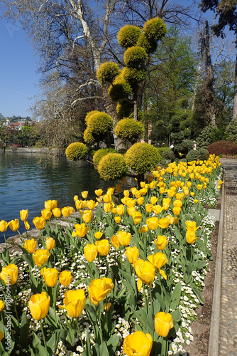 Parco Ciani, a city park by the lake