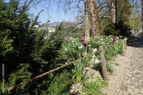 Parco Ciani, a city park by the lake