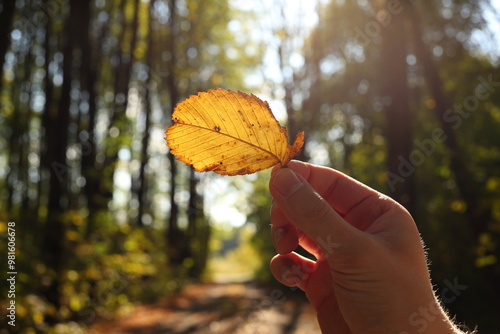 Small yellow autumn leaf in young man hand on a forest background.