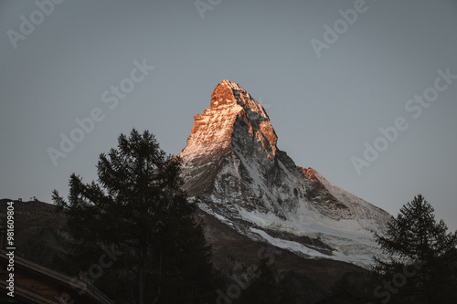 European Nature