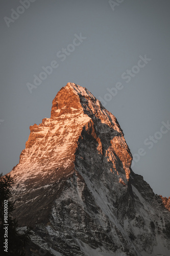 European Nature