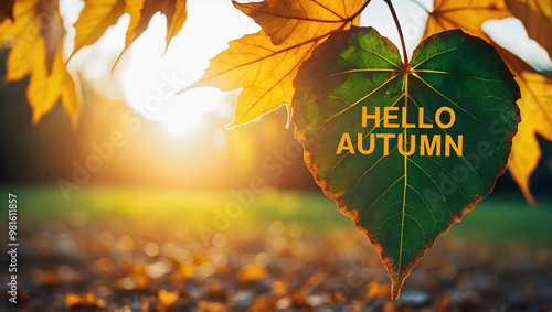 Obraz na płótnie Hello autumn, fall coloured leaf with text, seasonal background, nature, template, wallpaper w salonie