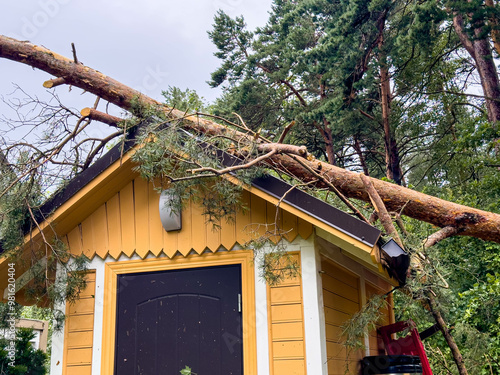 A Fallen Tree Branch Rests on a Small Yellow Cabin in a Forest Clearing During a Cloudy Day