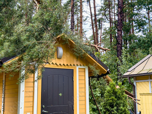A Fallen Tree Branches Onto a Small Yellow Cabin Surrounded by Dense Green Forest on a Sunny Day