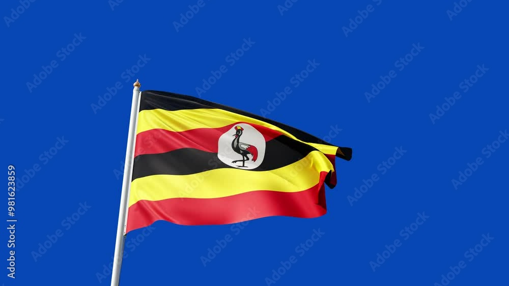 flag of uganda on a blue screen, no background, transparent background, waving in the wind, national symbol of uganda, african country, tall flagpole, video of a flag flag of uganda on a blue screen, no background, transparent background, waving in the wind, national symbol of uganda, african country, tall flagpole, video of a flag