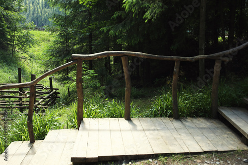 View of wooden stairs in gr...